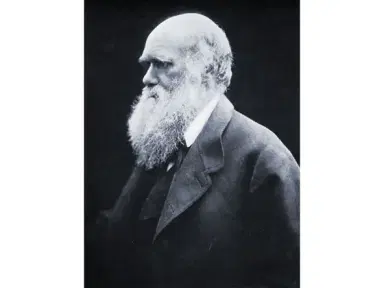 Charles Darwin profile