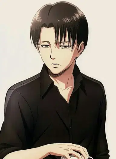 Levi Ackerman profile